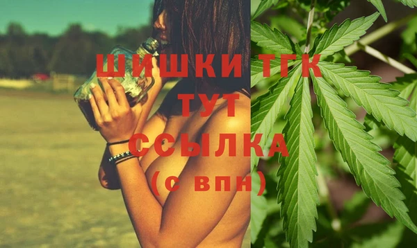 мдпв Лабытнанги