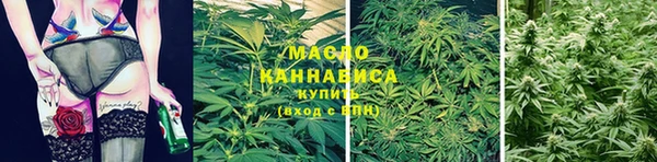 сатива Липки