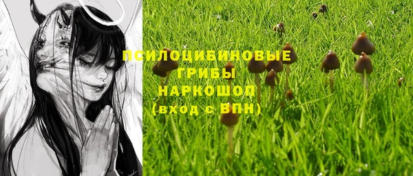 индика Лабытнанги