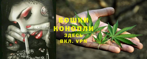 мяу мяу мука Приозерск